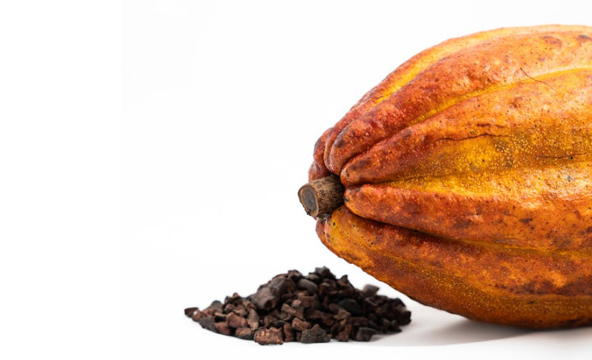 Kakao cokelat
